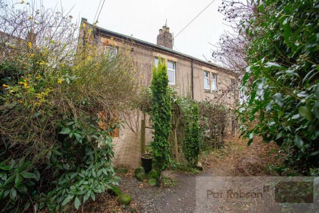 Picture 8