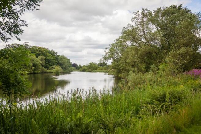 Poynton