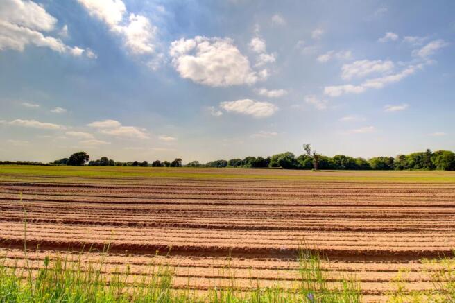 Fields to Rear