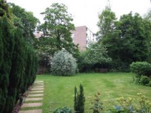 Communal Garden