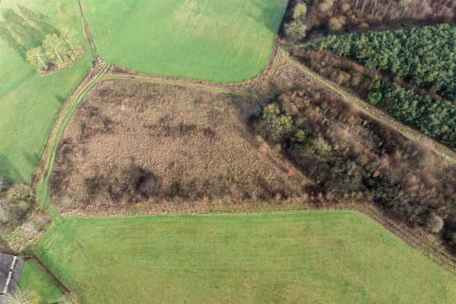 Woodland North of Swepstone Rd