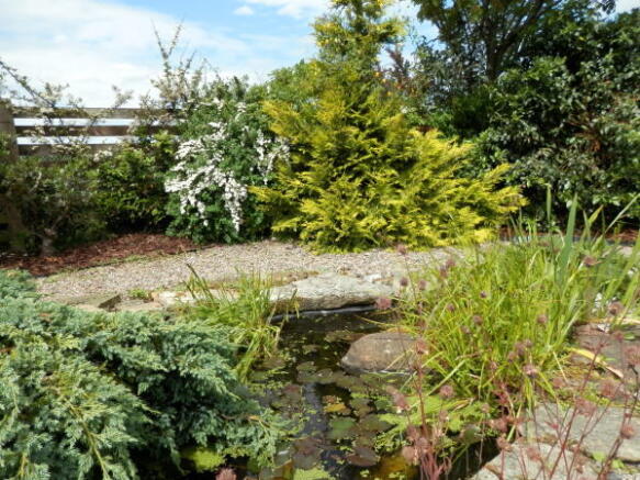 Photo 15