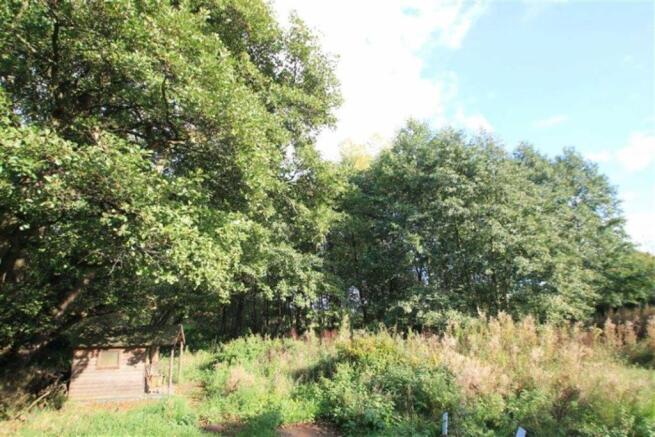 Woodland Area