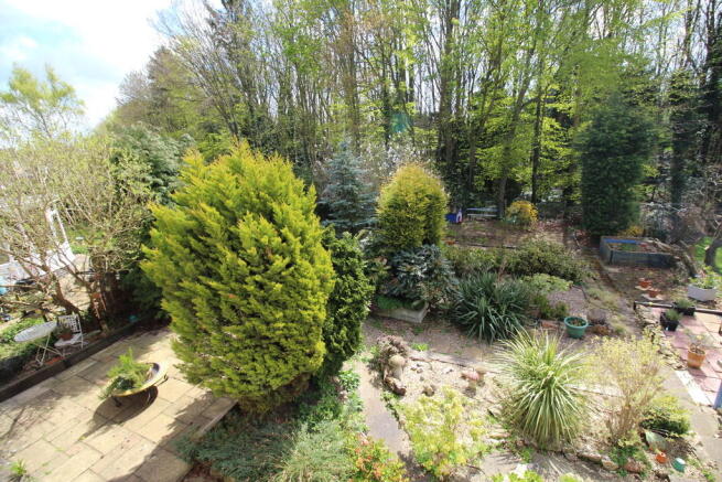 Photo 22