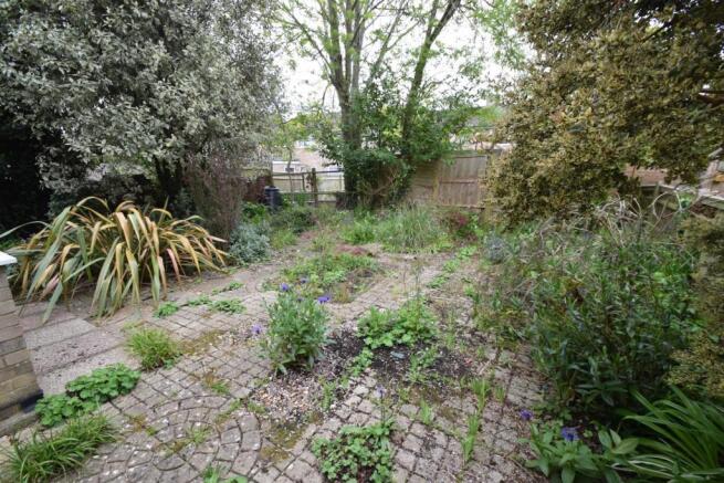 102 Mill Road garden.JPG