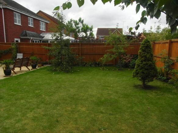 Photo 15