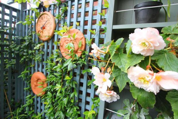 Garden Detail