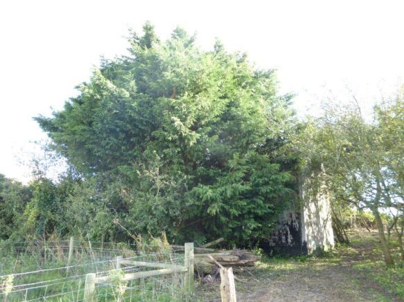 Photo 24