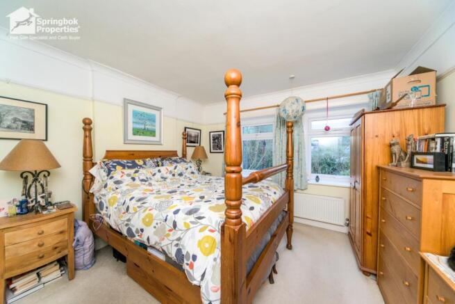 IMAGE 11