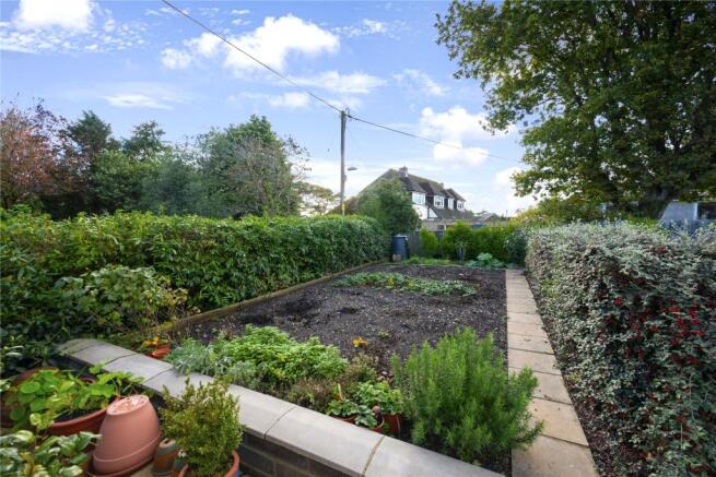 Veg Patch