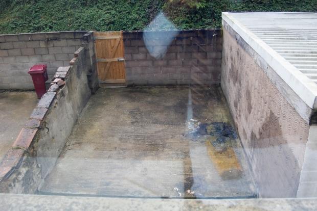 rear yard