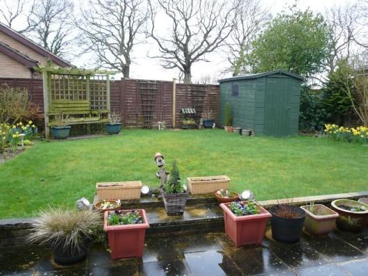 Photo 7