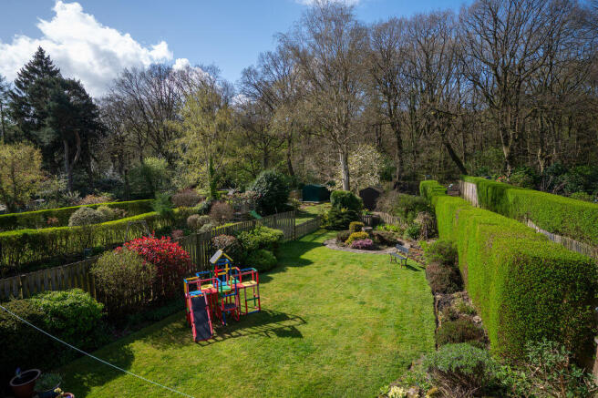 Garden & Beyond 