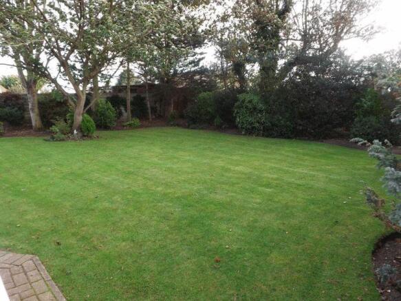 Garden 1