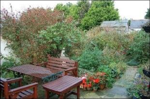 Rear patio & garden