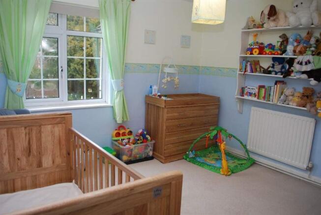 Photo 11