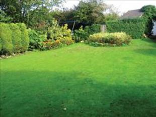 Image for property