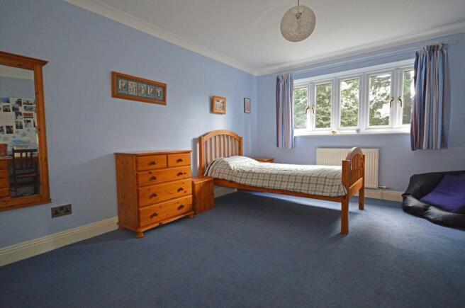 Photo 7