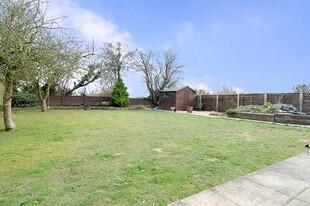 South Facing Rear Garden