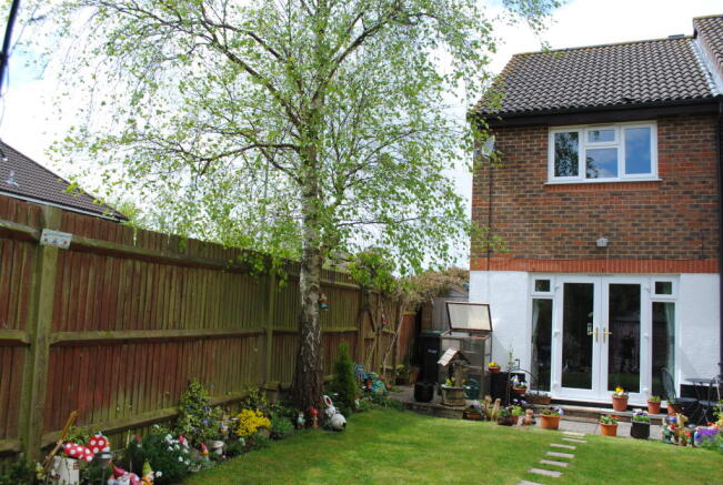 Photo 6