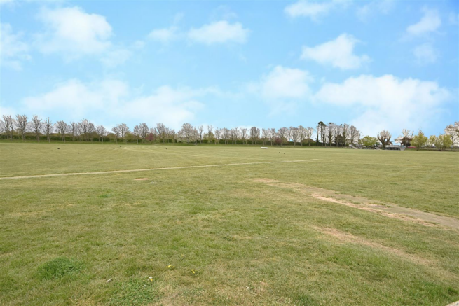 Cricket Field