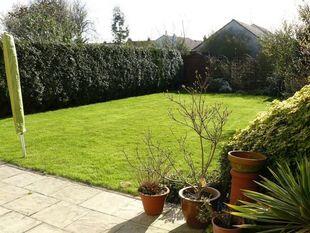 Sunny Rear Garden