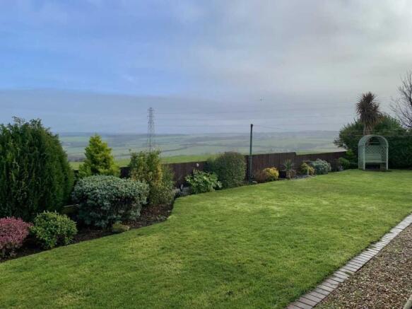 Back Garden