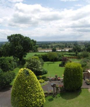 Garden and View