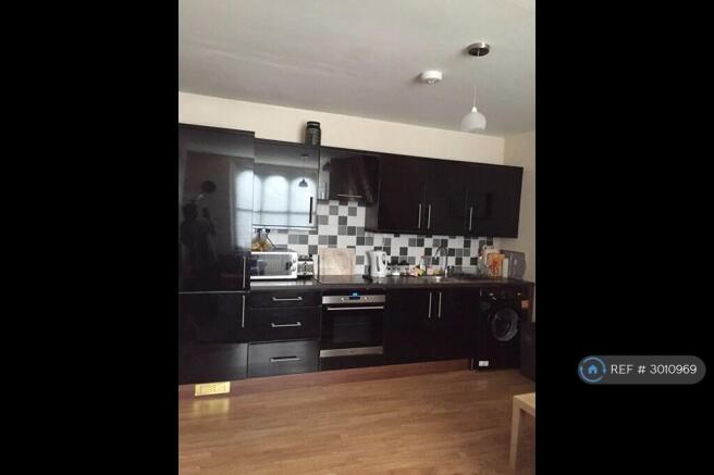 Modern Kitchen