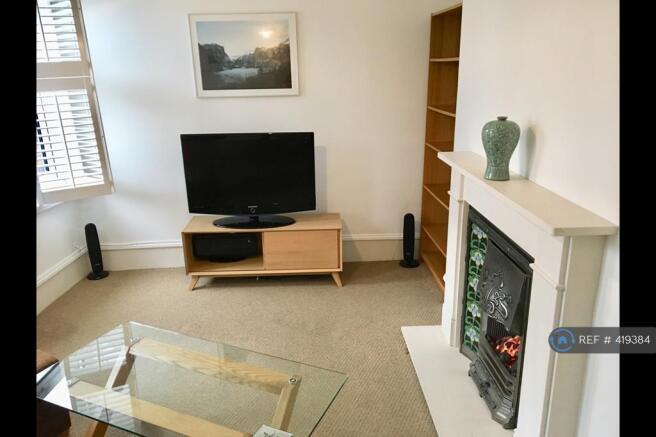 Eco Gas Fire 
