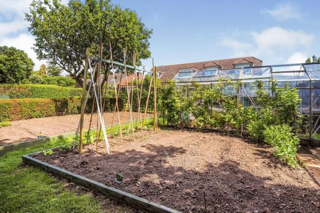 Vegetable Plot