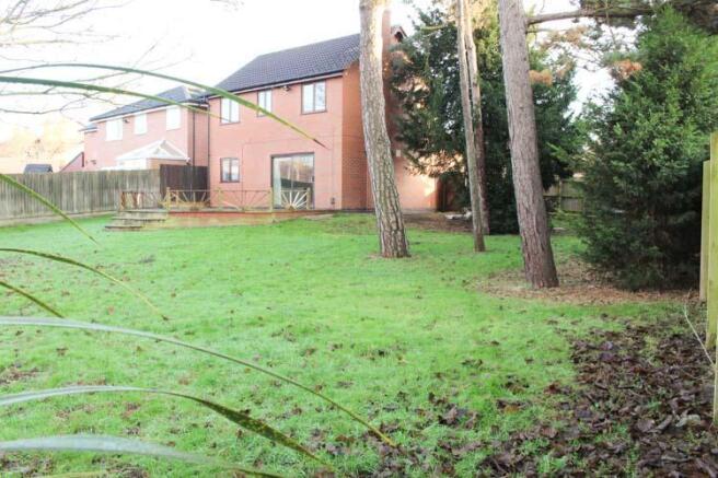 Garden at Back