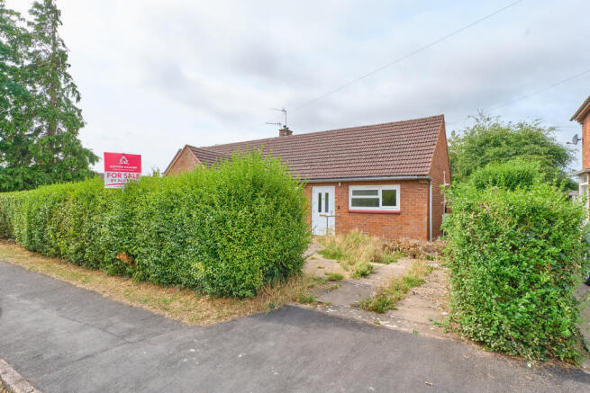 P1518562 T202508071858.jpg