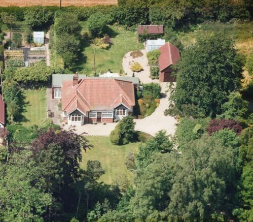 Plot View