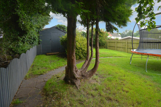 Garden & Shed
