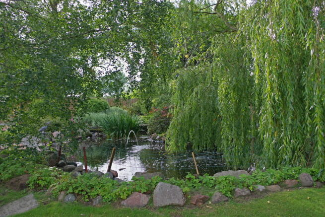 Photo 29