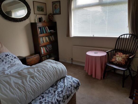 Photo 5