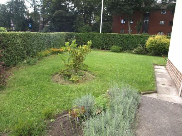 Photo 14