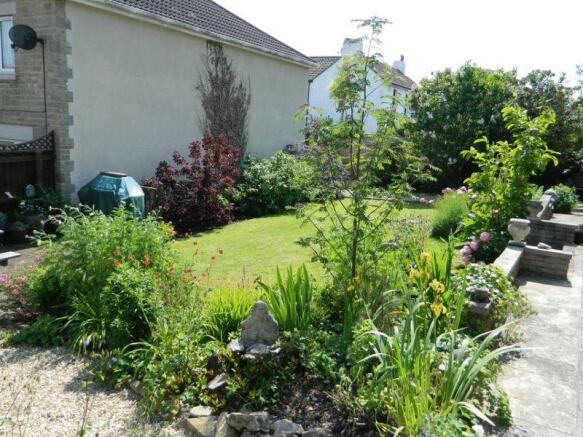 Garden Pic 5