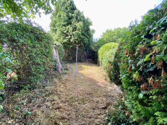 garden2.jpg