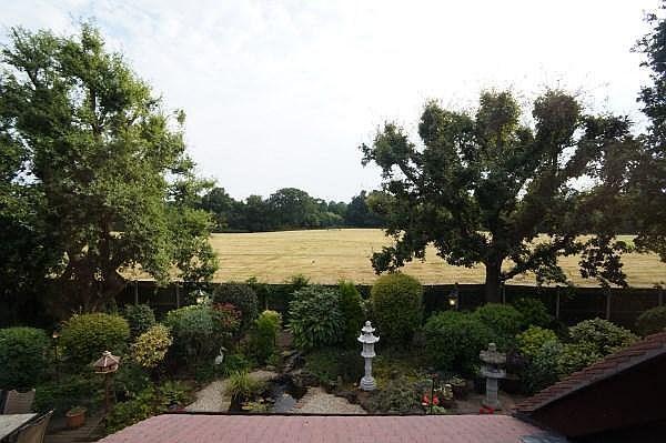 View from Rear of Property