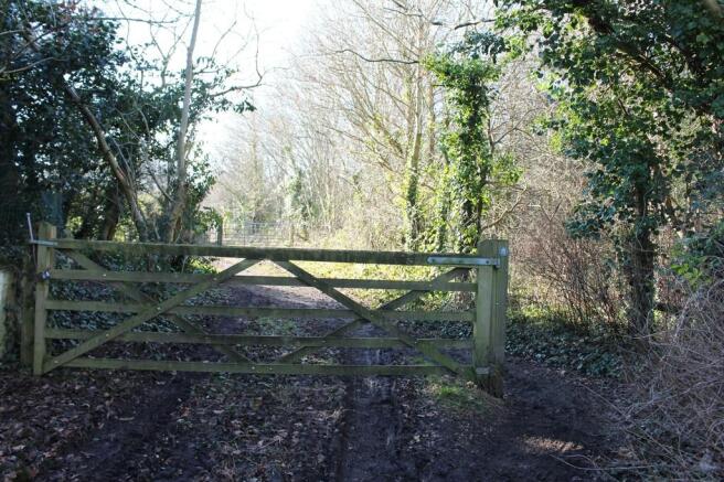 Access to Forest ...