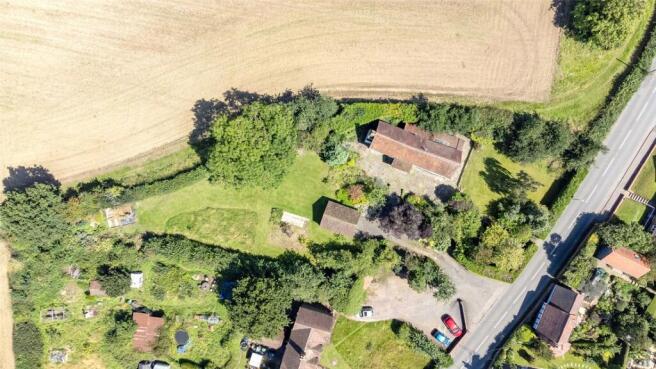 Large Garden