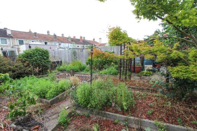 Garden 3.jpg