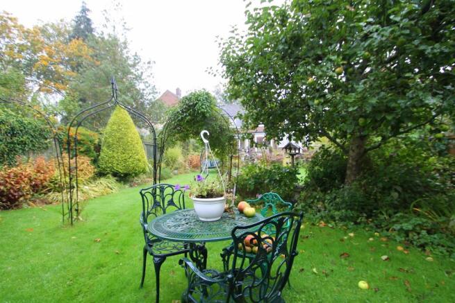 Garden 4.jpg