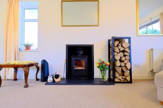 Modern log burner