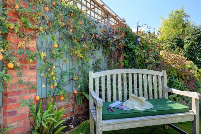 Photo 15