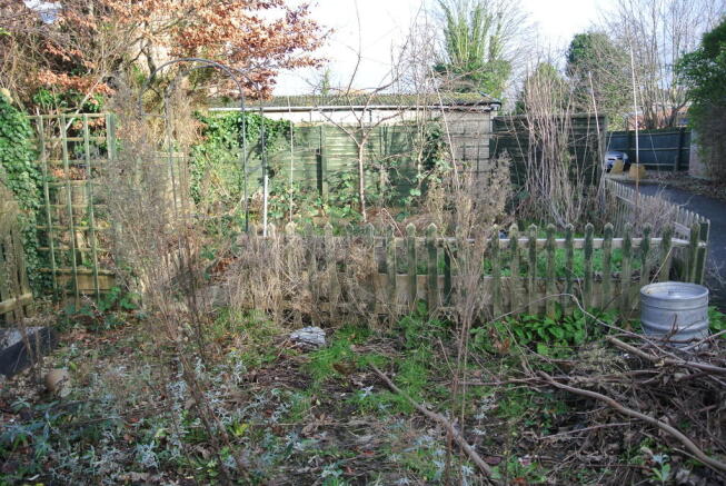 Photo 15