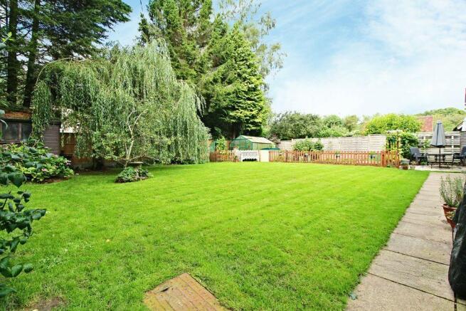 Garden at Back