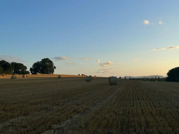 Photo 37